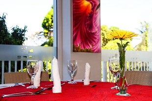 Planes Románticos - Hotel Anamela - Mani, Casanare - image - 20