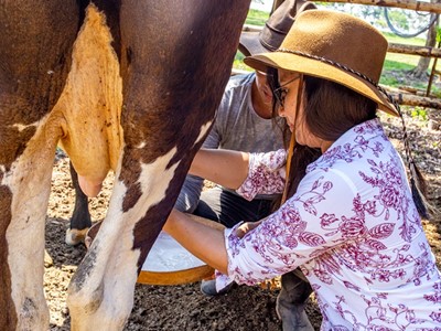 Hotel Anamela - Mani, Casanare - image - 11