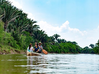 Hotel Anamela - Mani, Casanare - image - 38