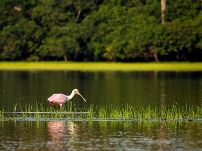 Hotel Anamela - Mani, Casanare - image - 43