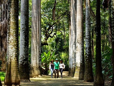 Hotel Anamela - Mani, Casanare - image - 45