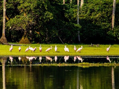 Hotel Anamela - Mani, Casanare - image - 50