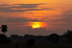 Anamela Aventura - Hotel Anamela - Mani, Casanare - image - 5