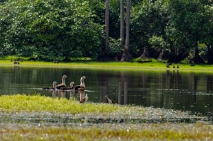 Anamela Aventura - Hotel Anamela - Mani, Casanare - image - 25