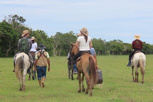 Anamela Aventura - Hotel Anamela - Mani, Casanare - image - 17