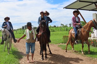 Anamela Aventura - Hotel Anamela - Mani, Casanare - image - 15