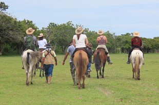 Anamela Aventura - Hotel Anamela - Mani, Casanare - image - 7