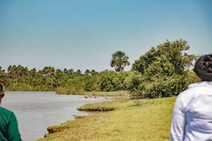 Anamela Aventura - Hotel Anamela - Mani, Casanare - image - 28