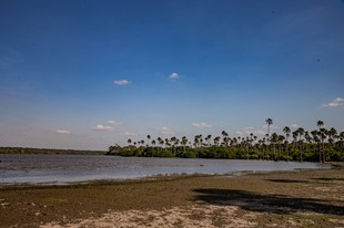 Anamela Aventura - Hotel Anamela - Mani, Casanare - image - 19