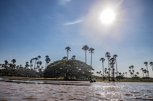 Anamela Aventura - Hotel Anamela - Mani, Casanare - image - 38