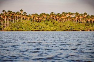 Anamela Aventura - Hotel Anamela - Mani, Casanare - image - 50